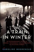 A Train in Winter