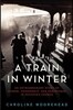 A Train in Winter