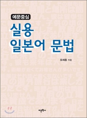 예문중심 실용 일본어 문법