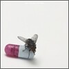 Red Hot Chili Peppers - I'm With You