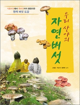 우리 산야의 자연버섯