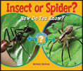 Insect or Spider?: How Do You Know?