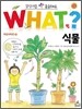 식물