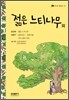 젊은 느티나무 외