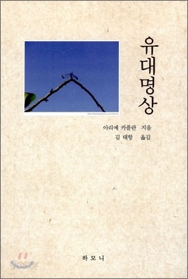 유대명상