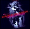 Bob Weir and RatDog (밥 위어 앤 더 랫도그) - Evening Moods