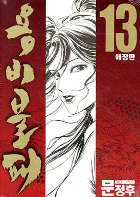 용비불패 애장판 13