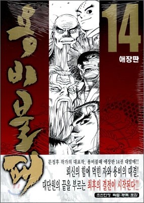 용비불패 애장판 14