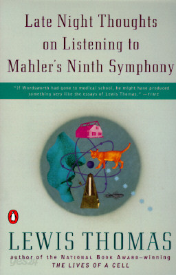 Late Night Thoughts on Listening to Mahler&#39;s Ninth Symphony