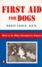 First Aid for Dogs: What to do When Emergencies Happen
