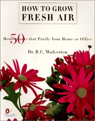 How to Grow Fresh Air