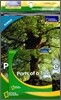 [National Geographic] World Window - Science Level 1.1 Parts of a Tree SET