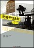 새로운 문화콘텐츠학 큰글씨책