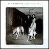 [중고] Van Morrison / Days Like This