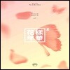 [중고] 방탄소년단 (BTS) / 미니 4집 화양연화 Pt.2 (Peach Ver)