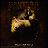 Pantera - Far Beyond Driven (180G Vinyl)(2LP)