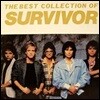 [중고] [LP] Survivor / The Best Collection Of Survivor