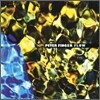 Peter Finger - Flow