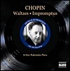 Arthur Rubinstein 쇼팽: 왈츠 (Chopin: Waltzes) 아르투르 루빈스타인