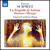 Vincent Larderet 슈미트: 피아노 작품집 - 살로메의 비극, 미라주, 그림자 (Florent Schmitt: Piano Music)