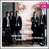 Modigliani Quartet 브람스: 피아노 5중주 - 모딜리아니 사중주단 (Brahms: Piano Quintet)