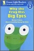 Why the Frog Has Big Eyes