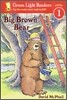 Big Brown Bear