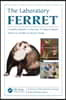 Laboratory Ferret