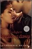 The Twilight #4 : Breaking Dawn (with poster)