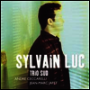 Sylvain Luc - Trio Sud