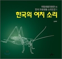 한국의 여치 소리