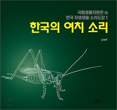 한국의 여치 소리