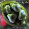 Fiona Apple - Extraordinary Machine (2LP)