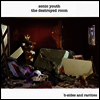 Sonic Youth - Destroyed Room: B-Sides and Rarities (LP)