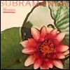 [중고] Dr. L. Subramaniam / Blossom