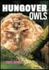 Hungover Owls