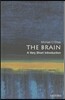 The Brain