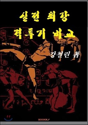 실전 최강 격투기 비교