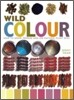 Wild Colour : How to Grow, Prepare and Use Natural Plant Dyes
