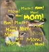 세상에서 가장 따뜻한 맘 Mom!