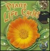 Plant Life Cycles