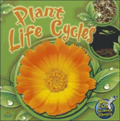 Plant Life Cycles