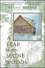 A Year in the Maine Woods