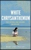 White Chrysanthemum