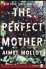 The Perfect Mother