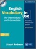 English Vocabulary in Use : Pre-intermediate and Intermediate with Answers & CD-Rom