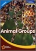 [National Geographic] World Window - Science - Level 3.5 Animal Groups SET