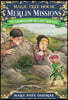 Leprechaun in Late Winter [With Sticker(s)]