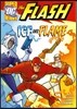 Capstone Heroes(The Flash) : Ice and Flame