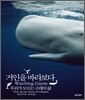 거인을 바라보다